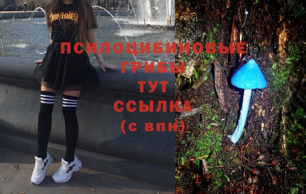 ешки Балахна