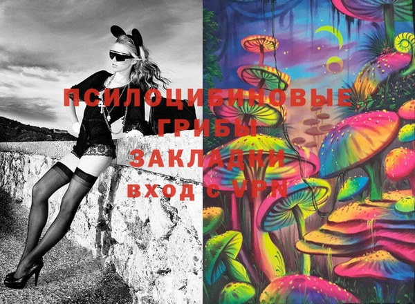 бошки Арсеньев